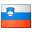 Slovenian flag