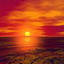 Phoenix36