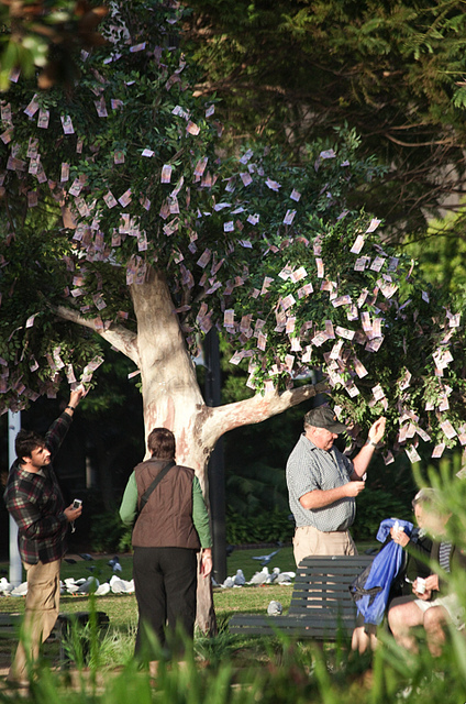 a real money tree